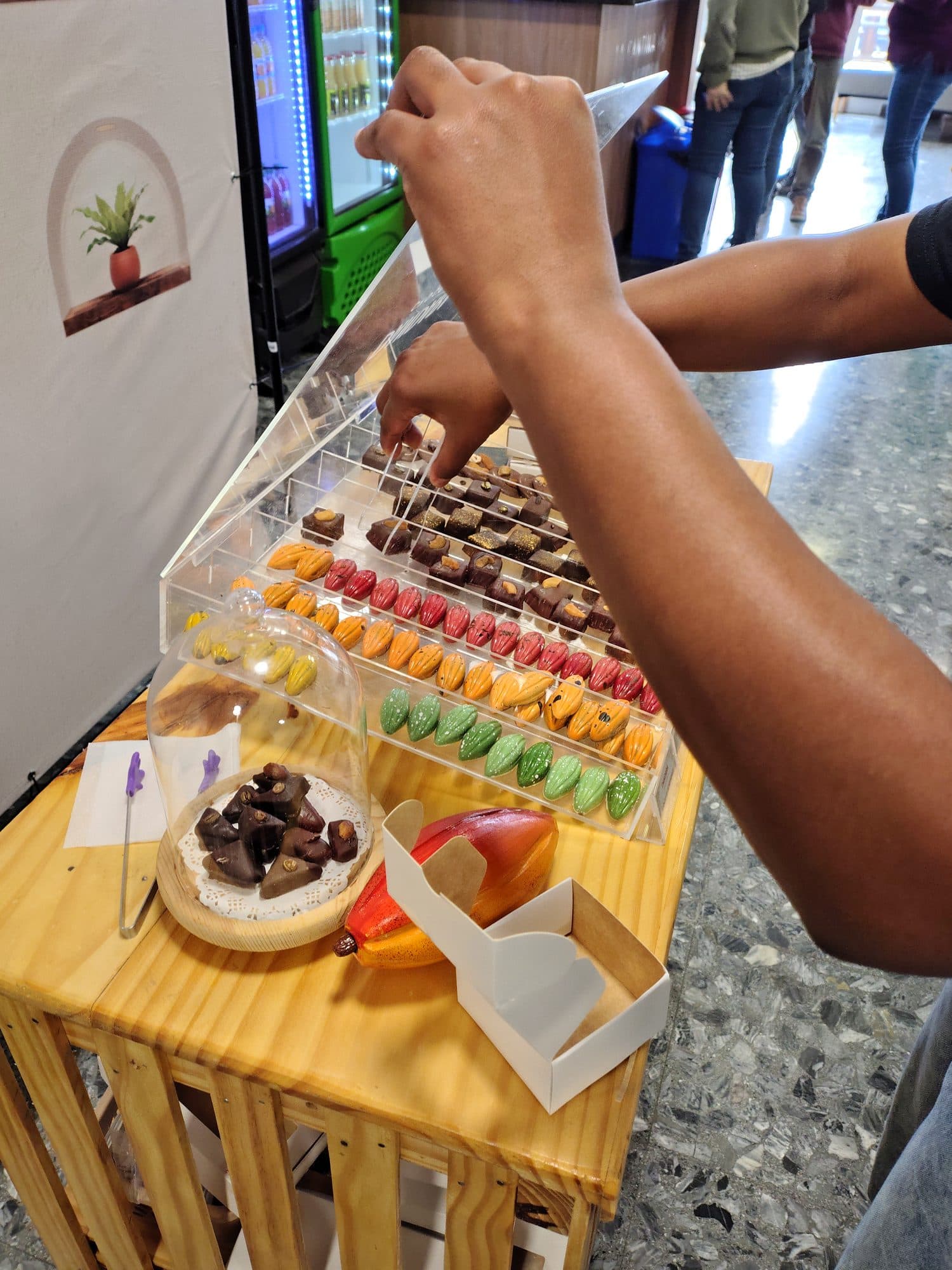 Bombones finos de Dandara en la Pop-Up Boutique