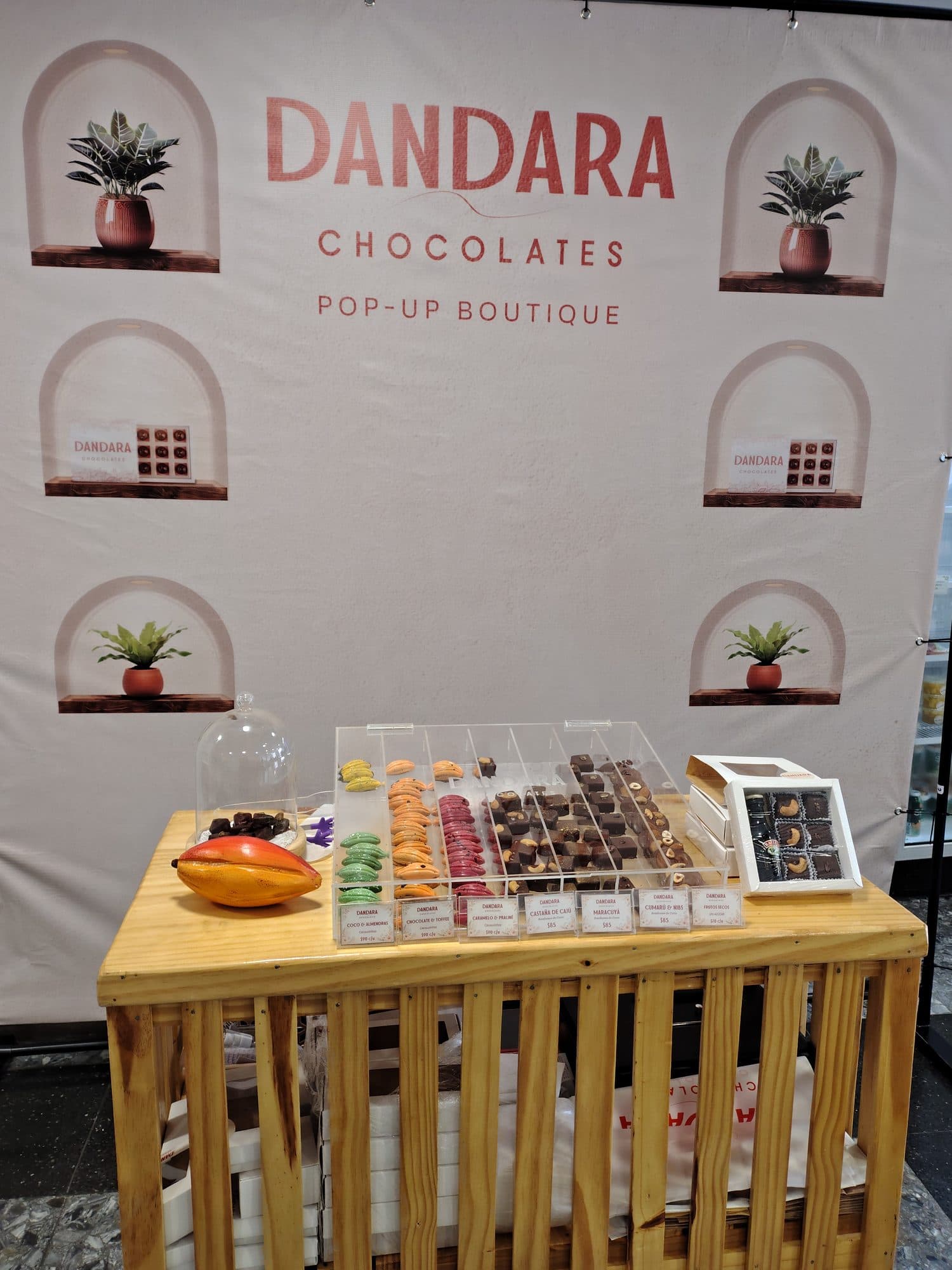 Stand completo de la Dandara Pop-Up Boutique